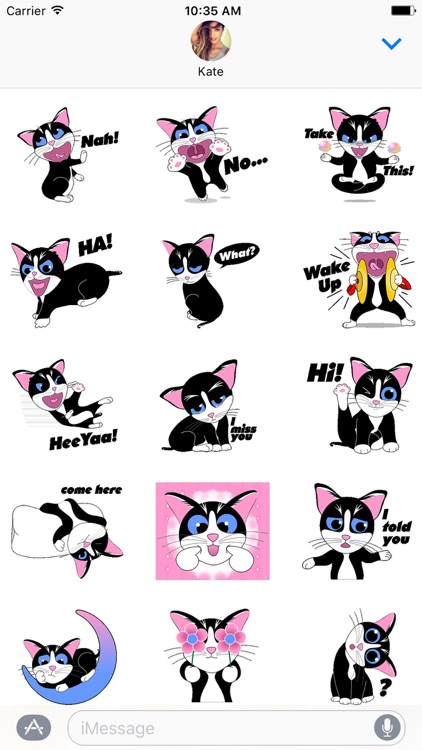 Tuxedo The Cat Stickers