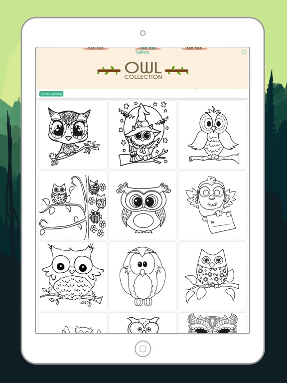 Screenshot #5 pour Hibou mignon coloriage Dessin Pages pour Kid
