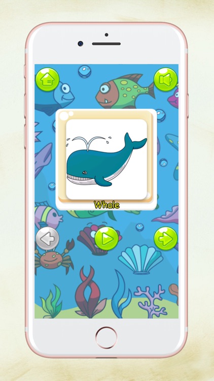 Let's learn! Animals