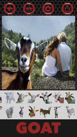Game screenshot Goat stickers - Фото редактор коза наклейки mod apk