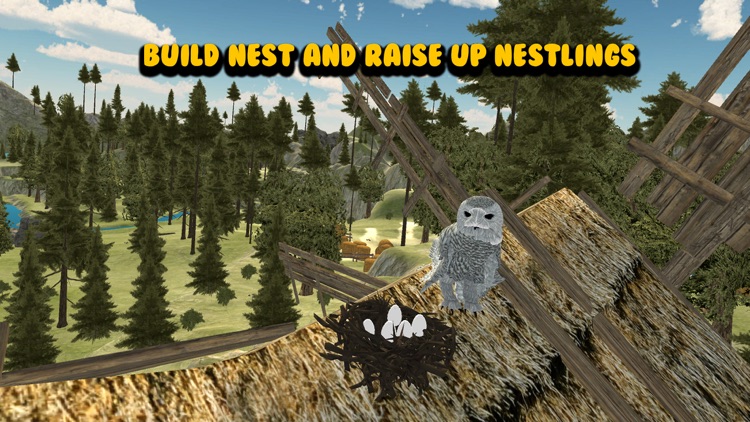 Flying Owl Bird Survival Simulator 3D
