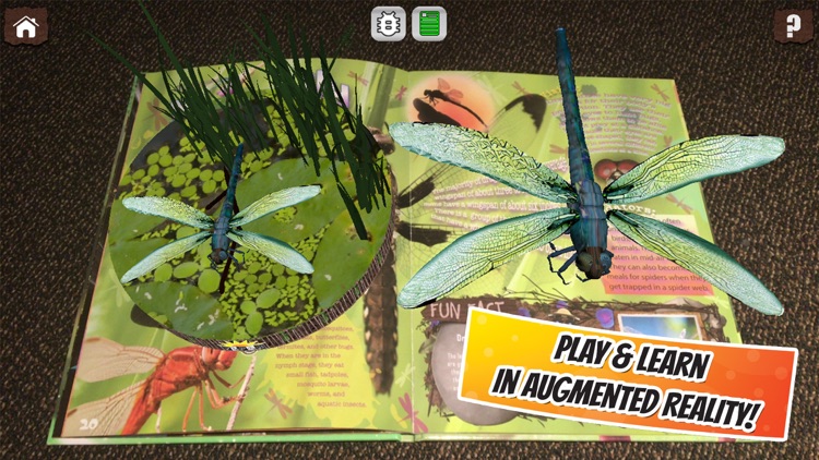 Popar Bugs