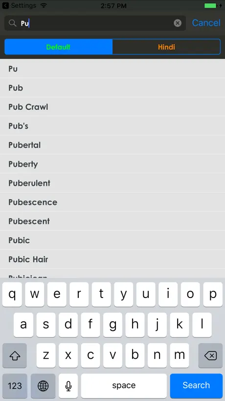 Hindi-English Dictionary+