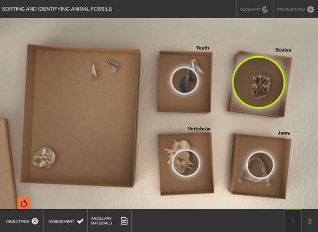 Sorting and Identifying Animal Fossils(圖2)-速報App