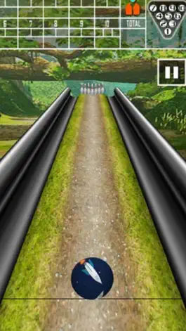 Game screenshot Bring Bowling Play mod apk