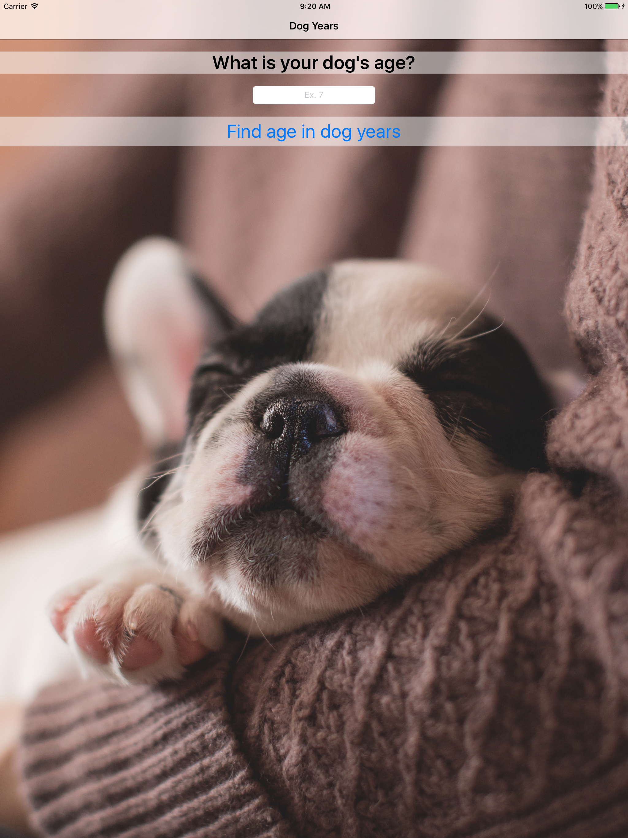 Dog Years - Fun And Simple Converter For Dog Years screenshot 6