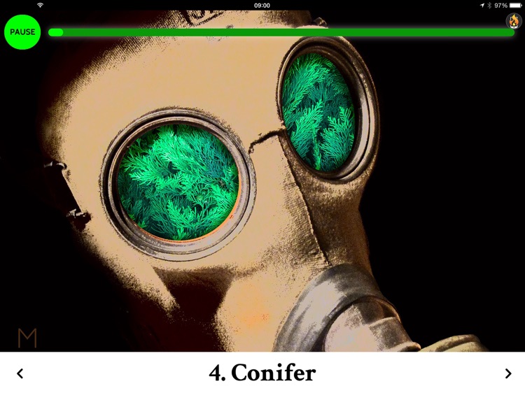 The Garden of Remember