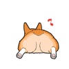 Ass Of Corgi Dogs Stickers