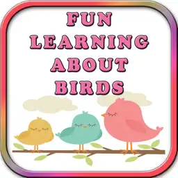 Fun Learning Birds Stencil for Kids app icon