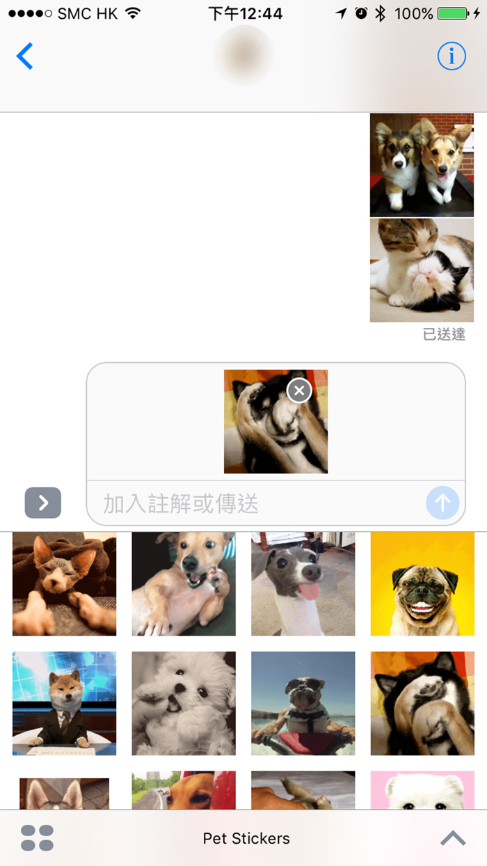 Pet Stickers - Cats and Dogs Animated Gif Stickers