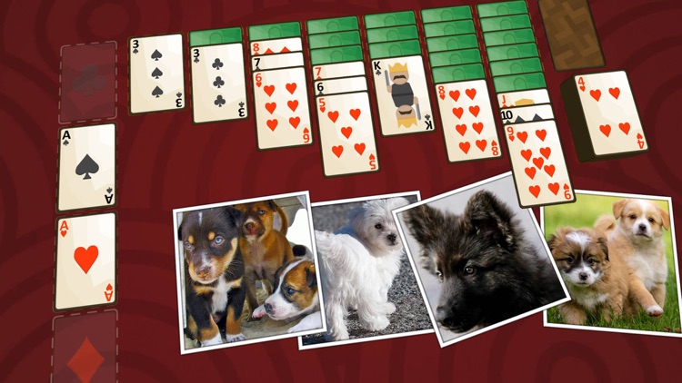 Solitaire Puppies screenshot-3
