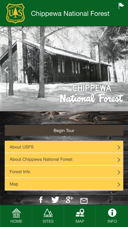Chippewa National Forest