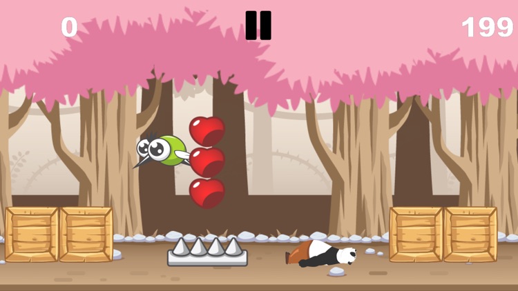 Panda Bear Run