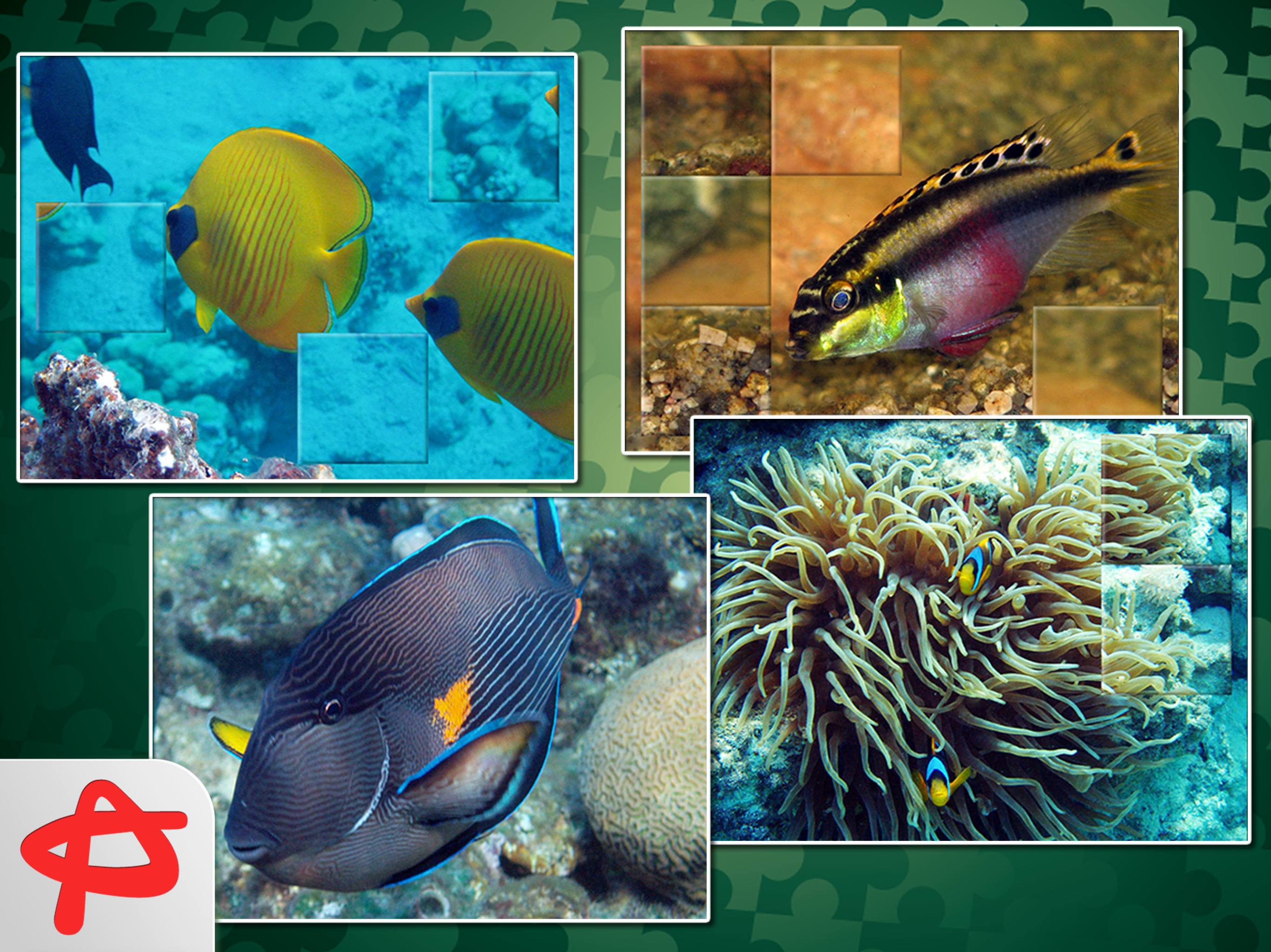 Call of Nature: Free Jigsaw Puzzle