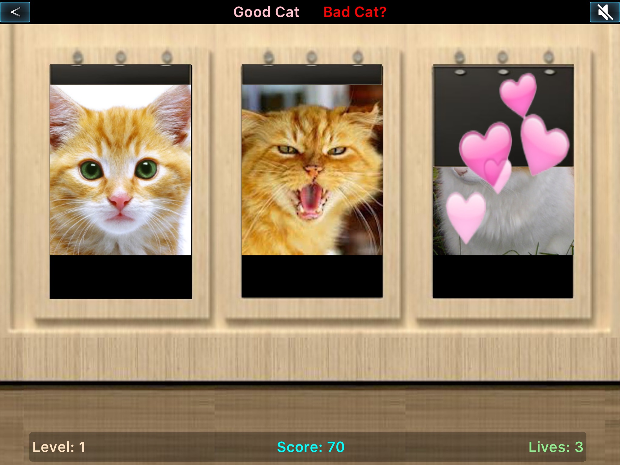 Good Cat Bad Cat screenshot 3