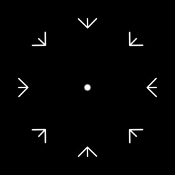 Flow Particles