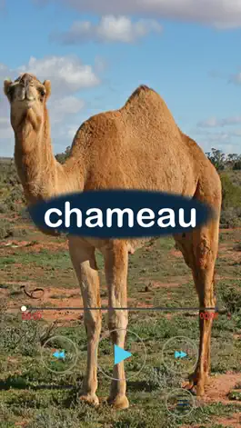 Game screenshot les animaux en français mod apk