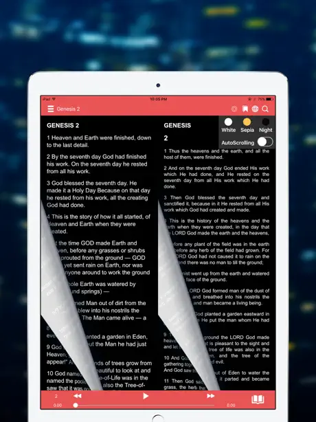 NRSV Bible