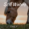 Still Waters Daily