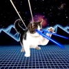 Icon Battle Cat Revenge