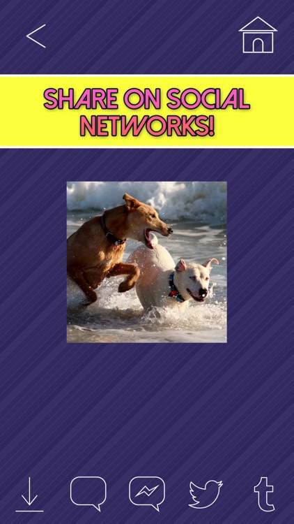 Gif Maker Cam - Animated Picture to Video Editor screenshot-4