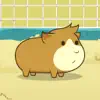 Guinea Pig Evolution - Breed Mutant Hampster Pets! delete, cancel