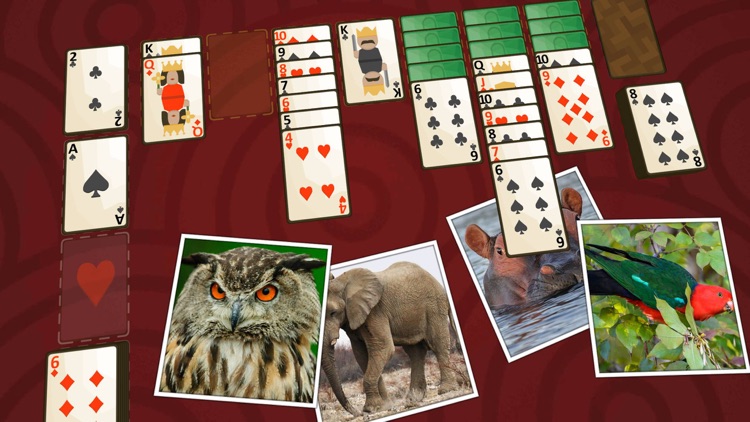 Solitaire Wild