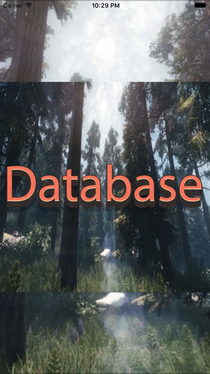 Best Database for The Elder Scrolls Online