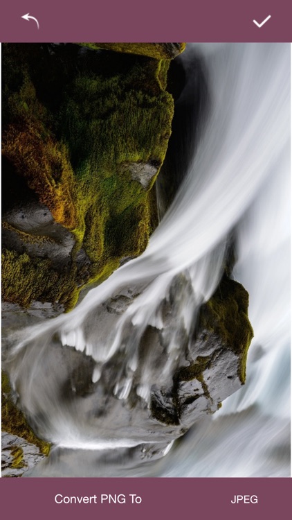 Picture Resizer-Passport Size Photo Maker