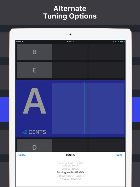 Screenshot #6 pour Bass Tuner+ Tuning Simplified