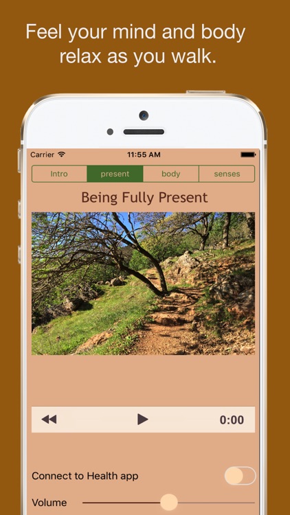 Walking Meditations