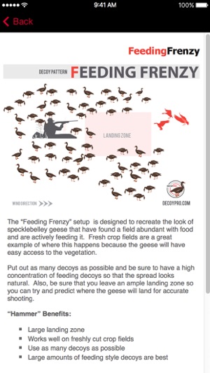Specklebelly Goose Hunting Decoy Spreads -DecoyPro(圖3)-速報App