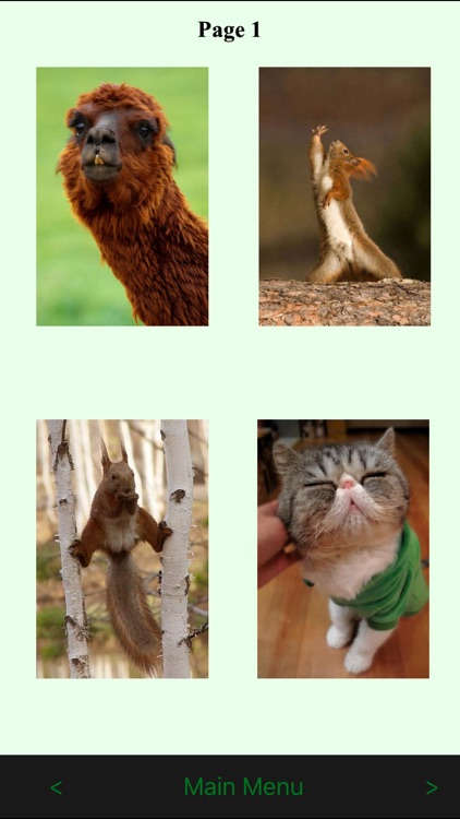 Funny Animals Catalog and Animal Soundboard screenshot-3