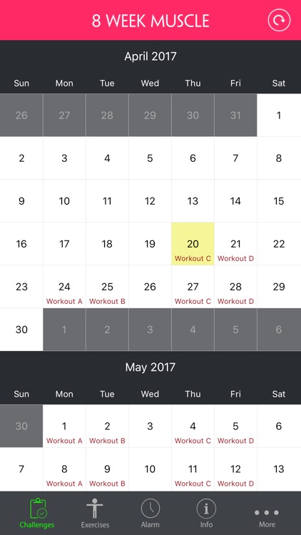 8 Week Big And Bold Workout ~ Muscle Building