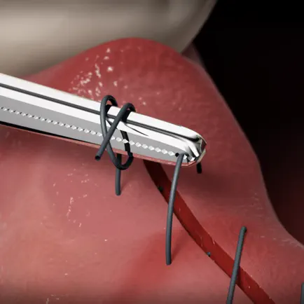 The Oral Surgery Suture Trainer Читы