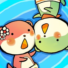 Activities of Duel Otters