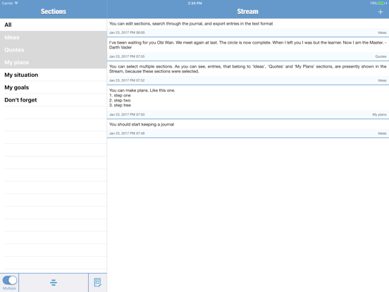 Stream Journal iPad screenshot 1 - Productivity app