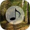 Forest Sounds - Forest Music,Sound Therapy - iPadアプリ