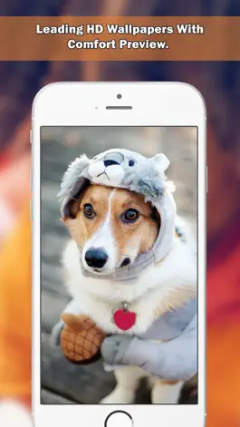 Game screenshot Girly Wallpapers & Backgrounds For Girls Pro apk