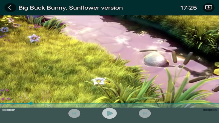 Skyworth Binge TV screenshot-4