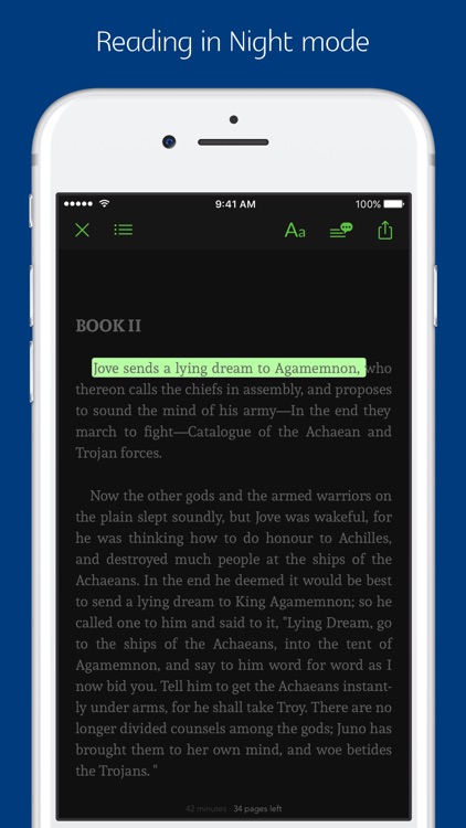 The Iliad - notes, sync transcript