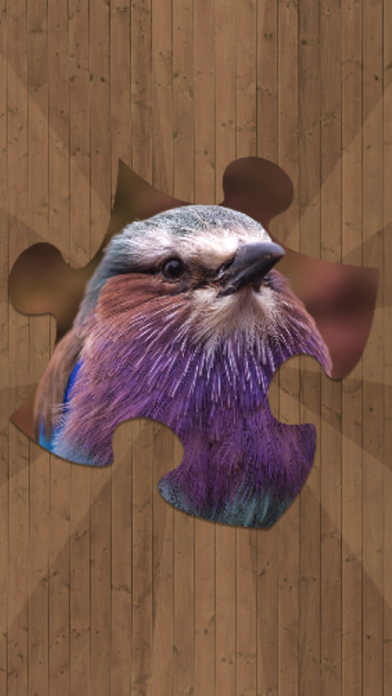 Screenshot #1 pour Les Meilleurs Jeux de Puzzle