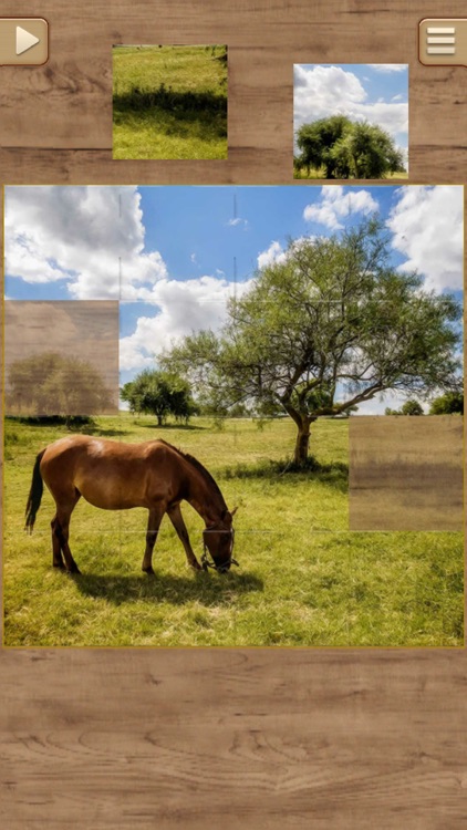 Horse Jigsaw Puzzles - Brain Training Games screenshot-3