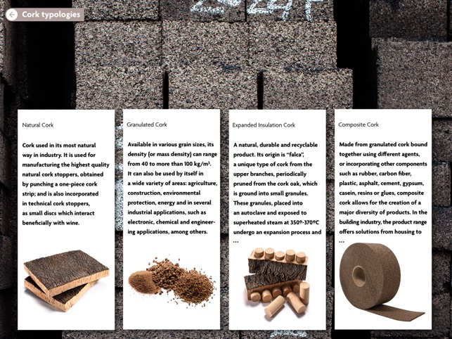 Amorim(圖3)-速報App
