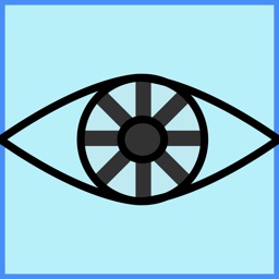 Sentiscope Project Buddy