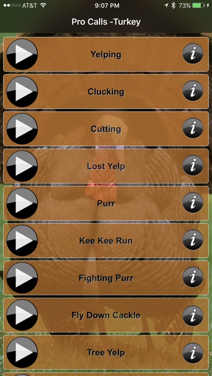 Pro Calls - Turkey Calls