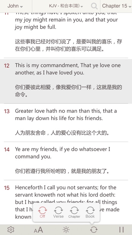 Bibles -(KJV, NIV, NRSV, RSV, ASV, NASV for Study) screenshot-3