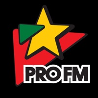ProFM pour PC
