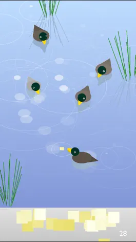 Game screenshot Hungry Ducks mod apk