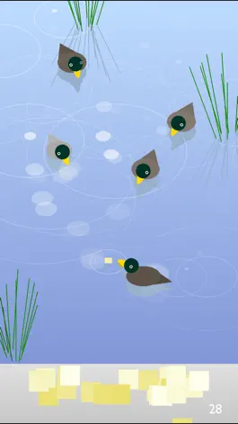 Hungry Ducks Game screenshot Hungry Ducks mod apk